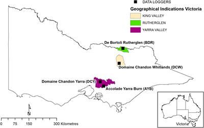 Accuracy of Interpolated Versus In-Vineyard Sensor Climate Data for Heat Accumulation Modelling of Phenology